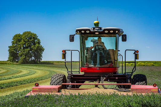 A self-propelled windrower cutting a field of flowering alfalfa near Eaton, Colorado, with freshly laid windrows curving across the field behind it