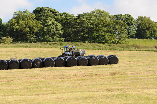 A row of black plastic-wrapped round baleage bales sitting in a green field