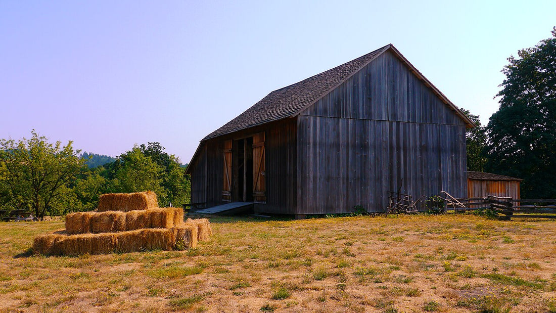 Stacked square dry hay bales beside a weathered 19th-century wooden barn