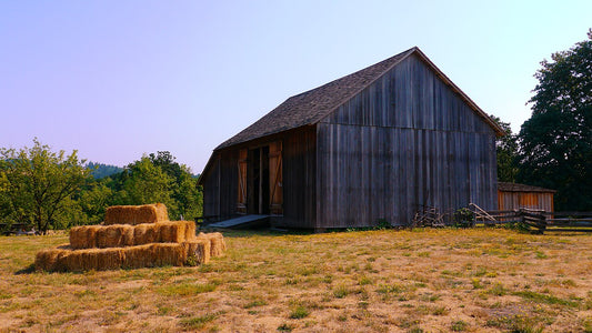 Stacked square dry hay bales beside a weathered 19th-century wooden barn