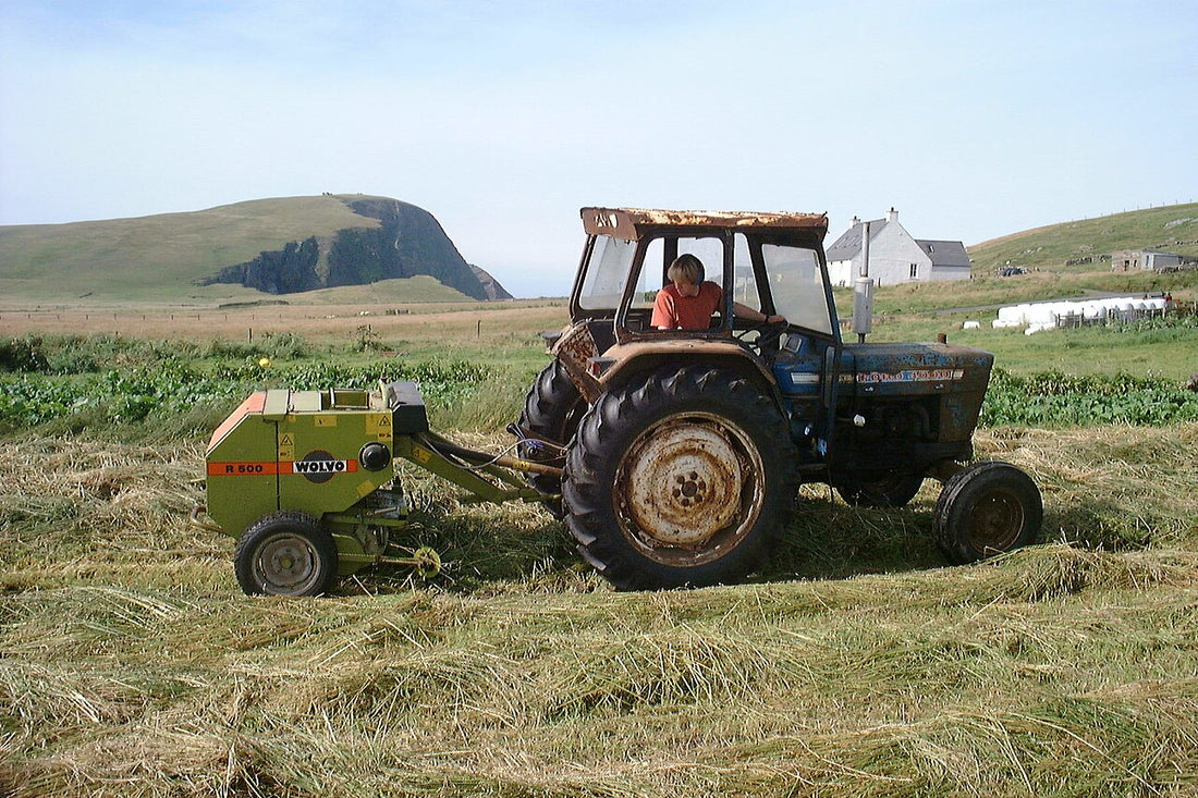 Blue Ford 4000 tractor towing a small green Wolvo R500 mini round baler through cut hay on Fair Isle, Shetland, showing how compact the baler is next to the tractor