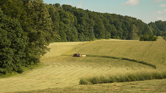 Tractor and mower cutting a hay field, half laid into fresh green swaths and half still standing, under a partly clouded sky