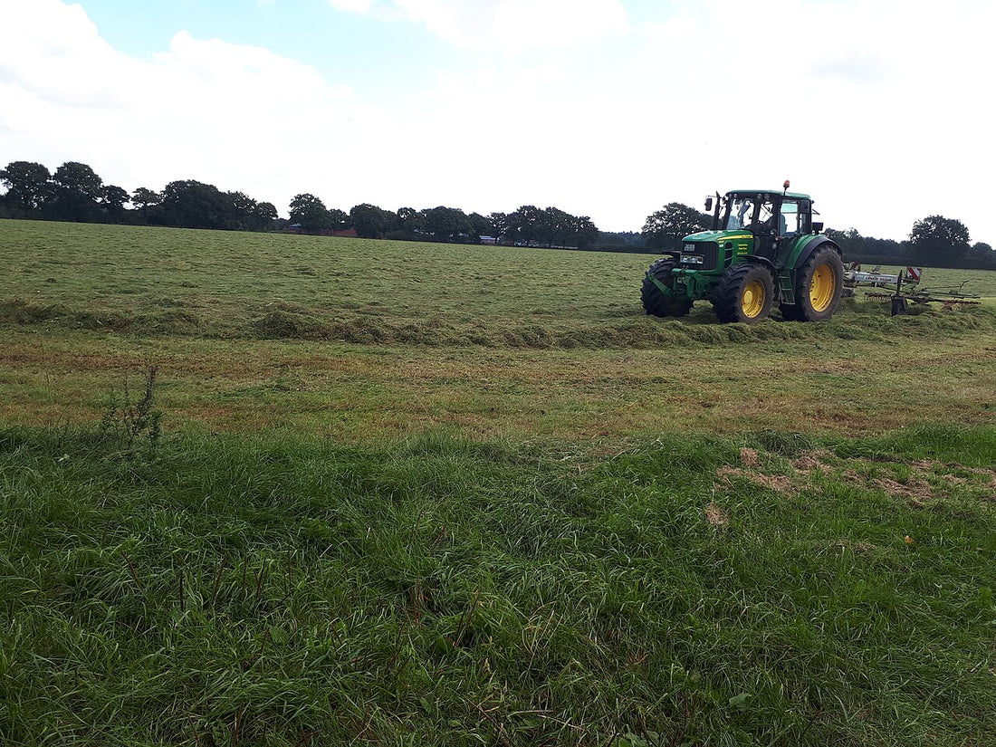 A tractor working a freshly mown hay field with a tedder, spreading cut grass to dry