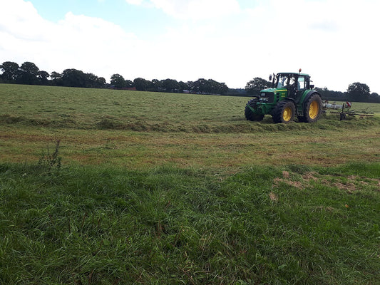 A tractor working a freshly mown hay field with a tedder, spreading cut grass to dry