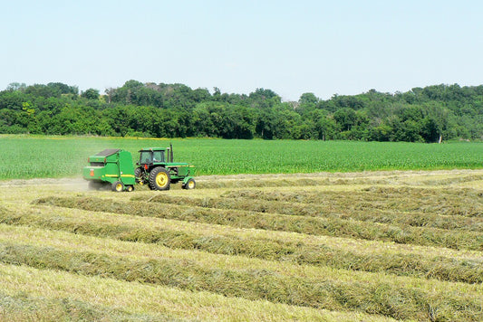 An Iowa hayfield mid-harvest — the working farm context where used net wrap accumulates each season and producers face the disposal decision: store, recycle, or burn.
