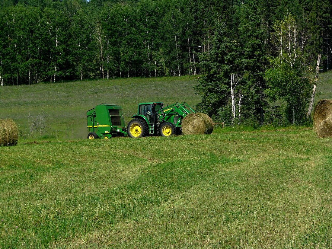 A single tractor and round baler working a small hay meadow with finished round bales scattered across the field