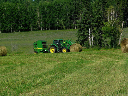 A single tractor and round baler working a small hay meadow with finished round bales scattered across the field