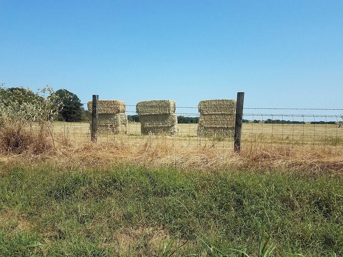 Large square hay bales stacked in a field behind a wire fence, waiting to be sold