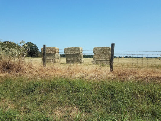 Large square hay bales stacked in a field behind a wire fence, waiting to be sold