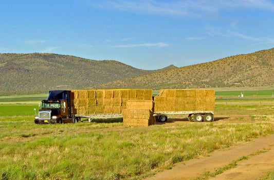 A flatbed semi-truck loaded with stacked square hay bales ready for transport to market — pricing hay starts from cost of production and market benchmarks.