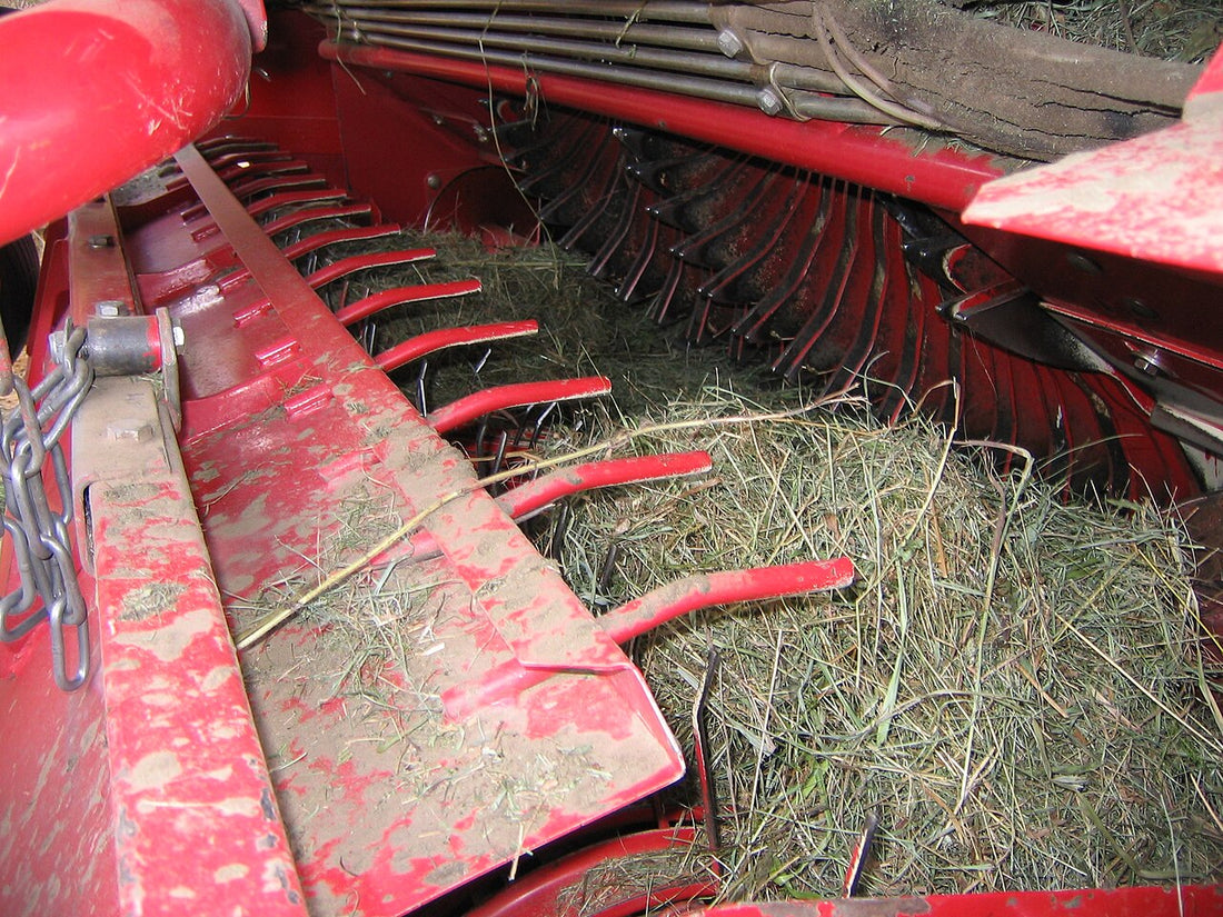 Close-up of a round baler pickup showing red spring tines on their tine bars, stripper bands, and hay being lifted into the feed opening