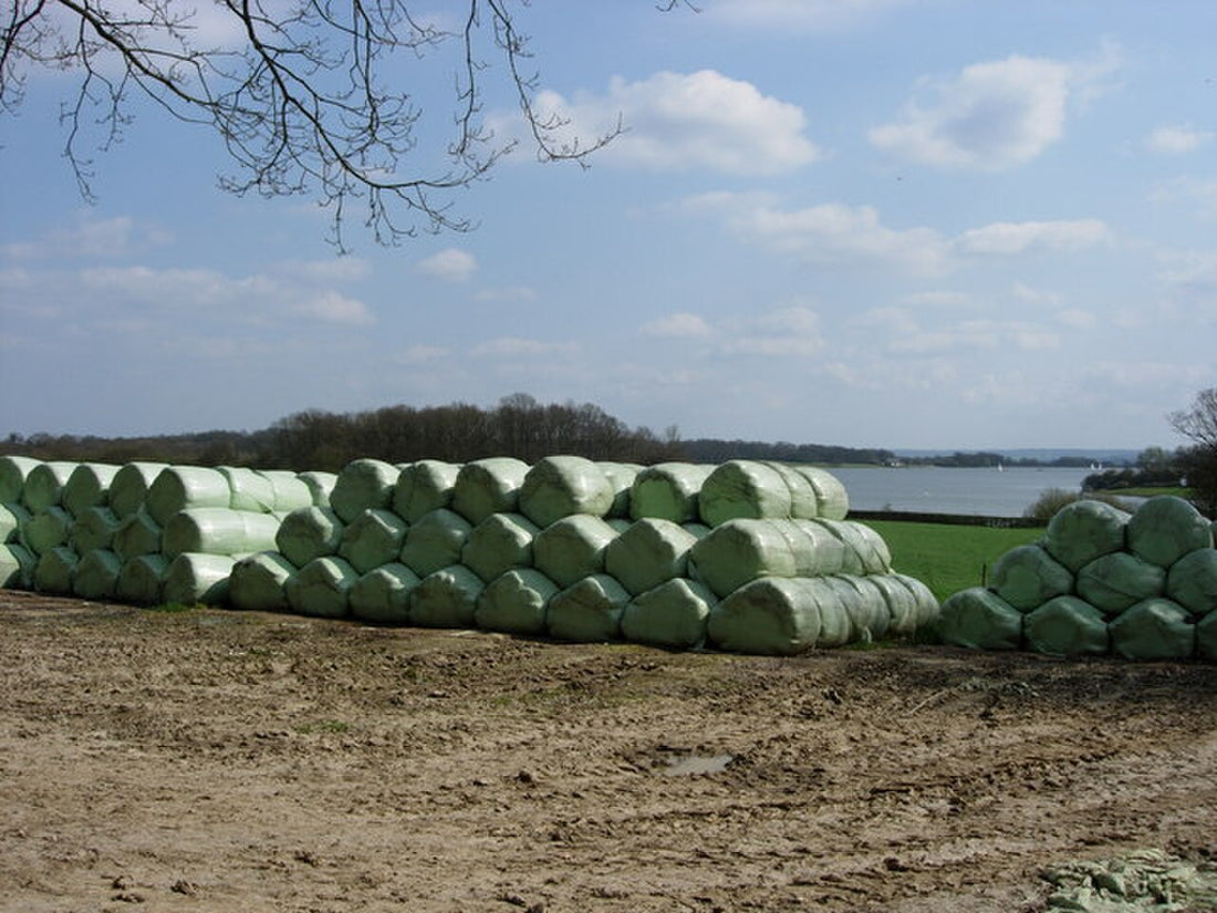 Round baleage bales wrapped in white stretch film resting in a green pasture, illustrating the two-layer net-wrap-plus-film system used for high-moisture forage preservation