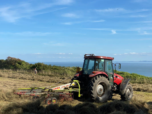 A Claas rotary tedder spreading cut forage across a field — tedding and conditioning choices change with baleage versus dry hay.