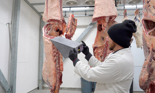 A man in a white frock and knit cap holds a handheld camera device against a beef carcass side among several sides hanging from rails in a meat processor's cooler.