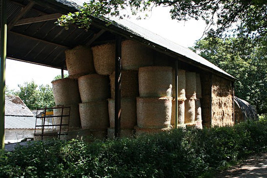 Round hay bales stacked inside a barn, the kind of stored hay that needs rodent control to stop mice chewing the strings