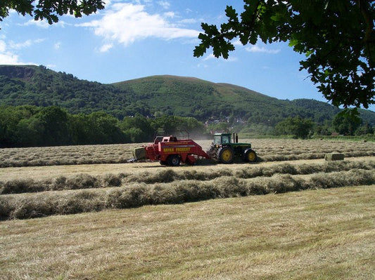A round baler making hay in a green field — alfalfa is round-baled at the right moisture and toughness to keep the protein-rich leaves on the bale.