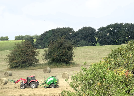A tractor and round baler working a sloping hay field with finished round bales resting on the hillside