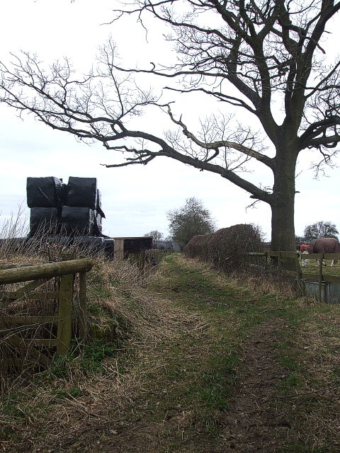Round hay bales under a cover beside a field track — individual covers keep weather off the top of stored bales.