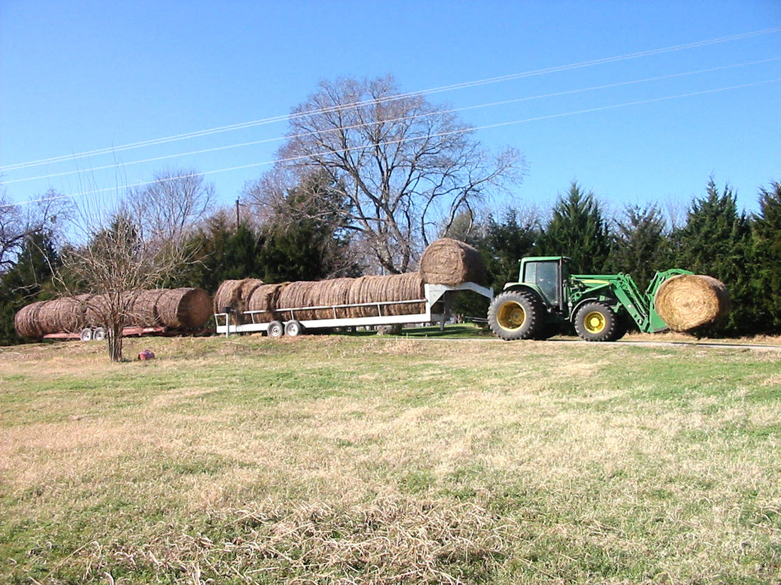 A rancher hauls round bales of hay on a flatbed trailer behind a tractor on a rural road in Grayson County, Texas