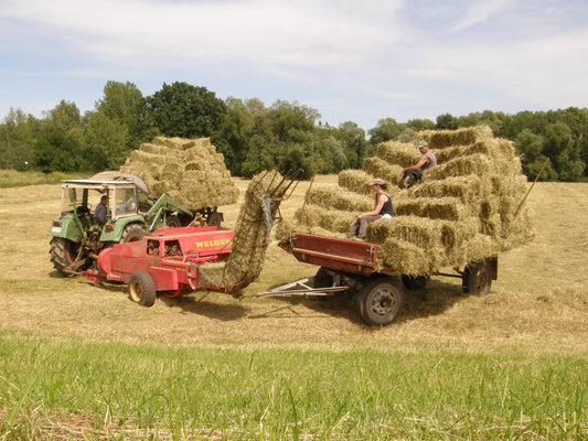 Small square baler working a hay field with a bale chute feeding stacked square bales onto a following wagon, the setup where bale shape problems show up first