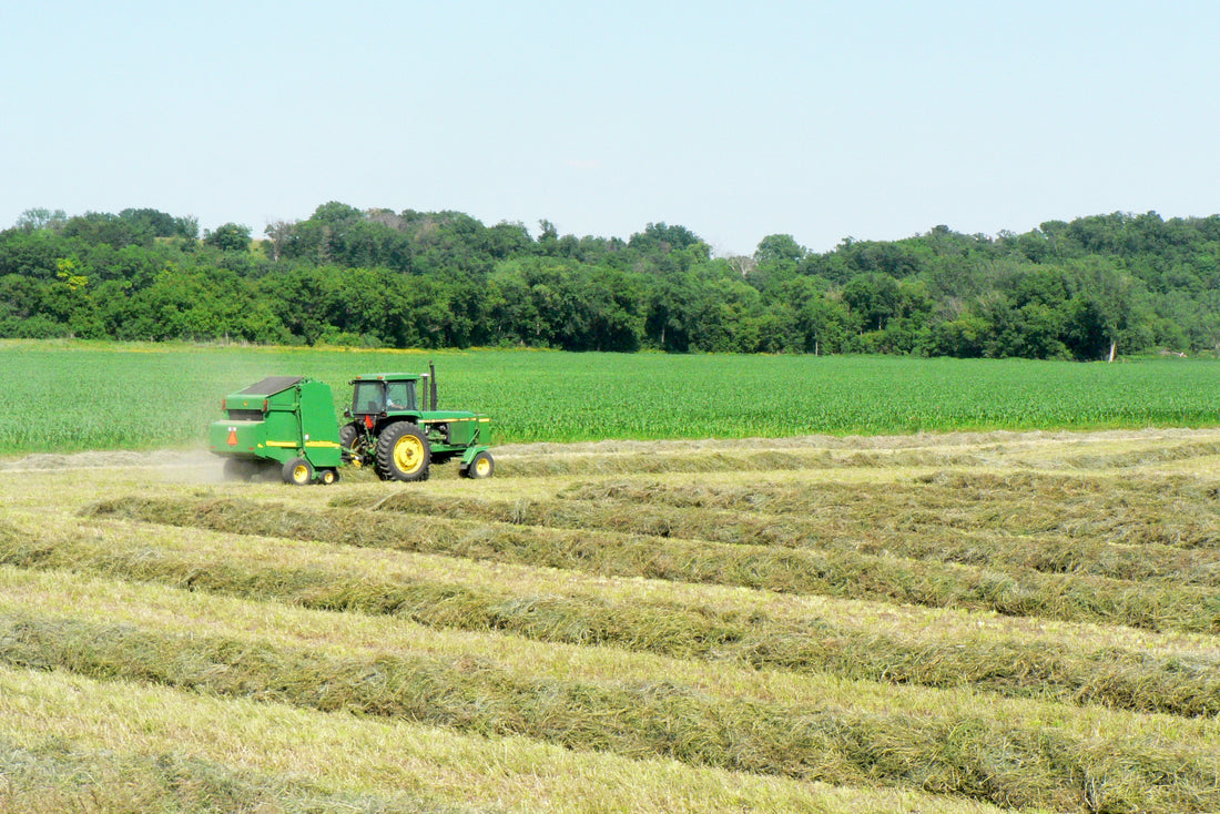 John Deere tractor and round baler working windrows in an Iowa hay field