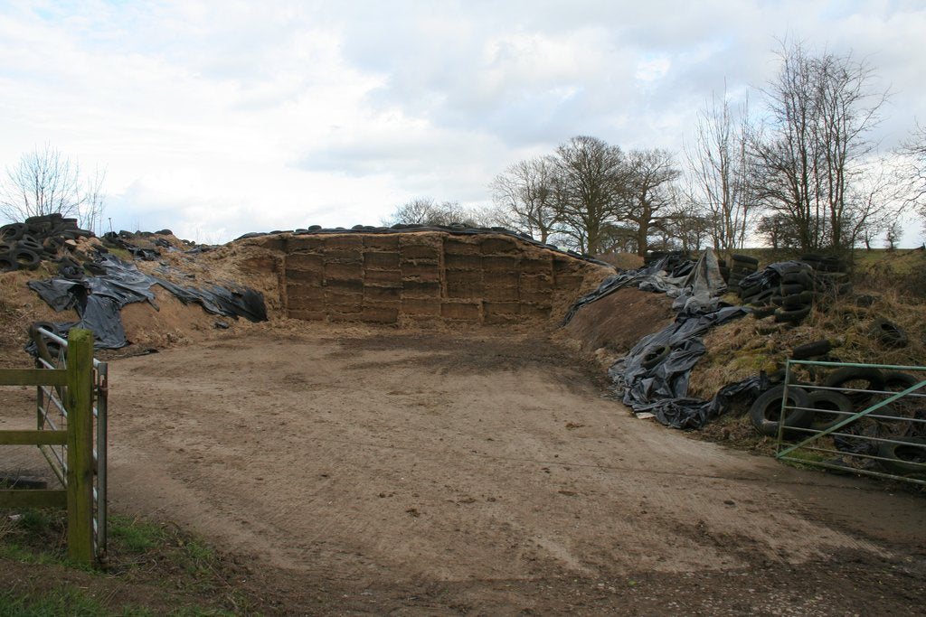 Open silage clamp showing an exposed feeding face with black plastic sheeting rolled back and weighted with tires