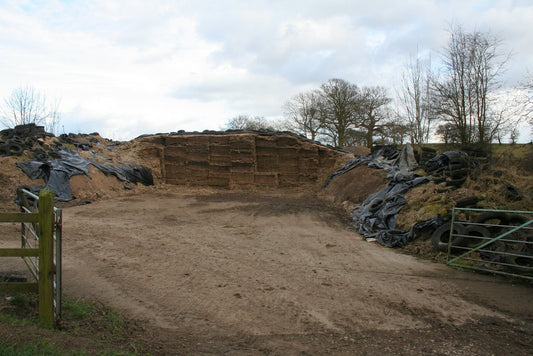Open silage clamp showing an exposed feeding face with black plastic sheeting rolled back and weighted with tires