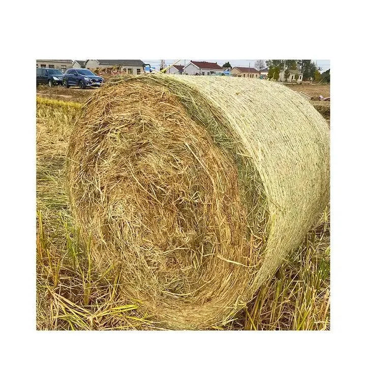 Environmental impact of HDPE bale net wrap — recyclability and lifecycle
