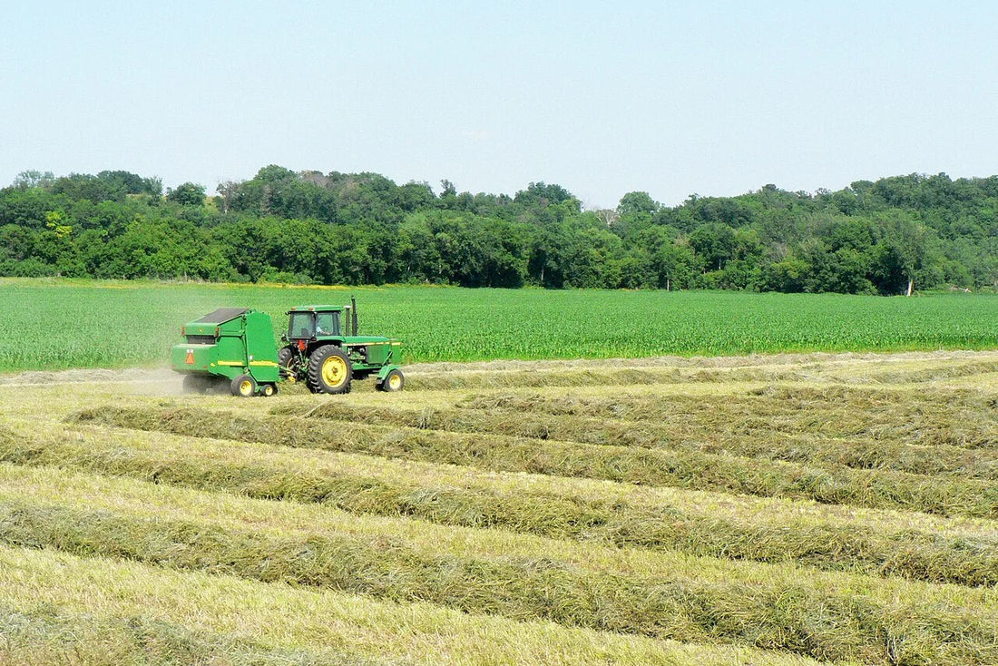 Round baler at work in an Iowa hay field — the moment net wrap is fed onto a fresh bale.