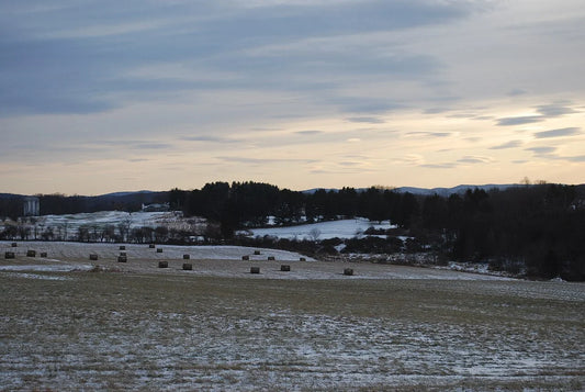 Round hay bales in a snow-covered field at dusk — the conditions where net wrap freezes onto the bottom of the bale and becomes hardest to remove.