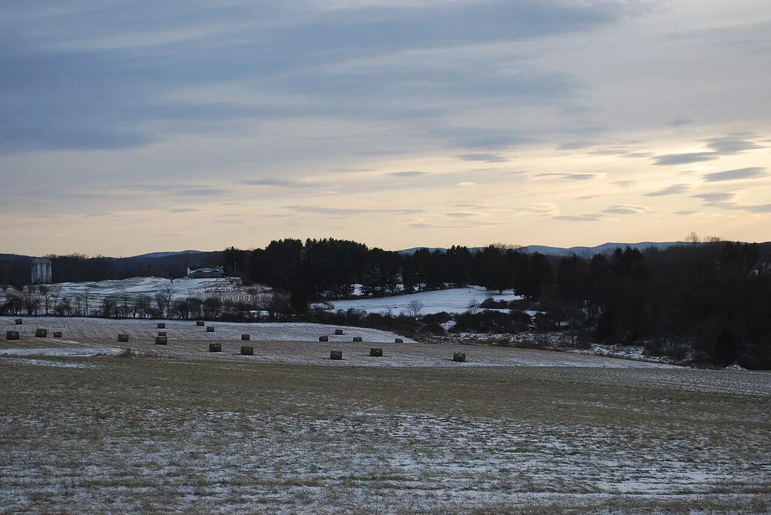 Round hay bales in a field — whether you pay sales tax on the net wrap that made them depends on your state and how you use the bales.