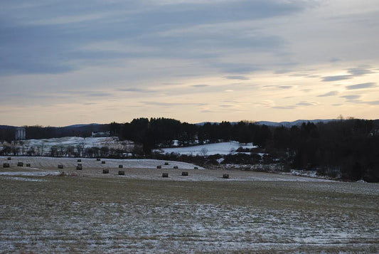 Round hay bales in a field — whether you pay sales tax on the net wrap that made them depends on your state and how you use the bales.